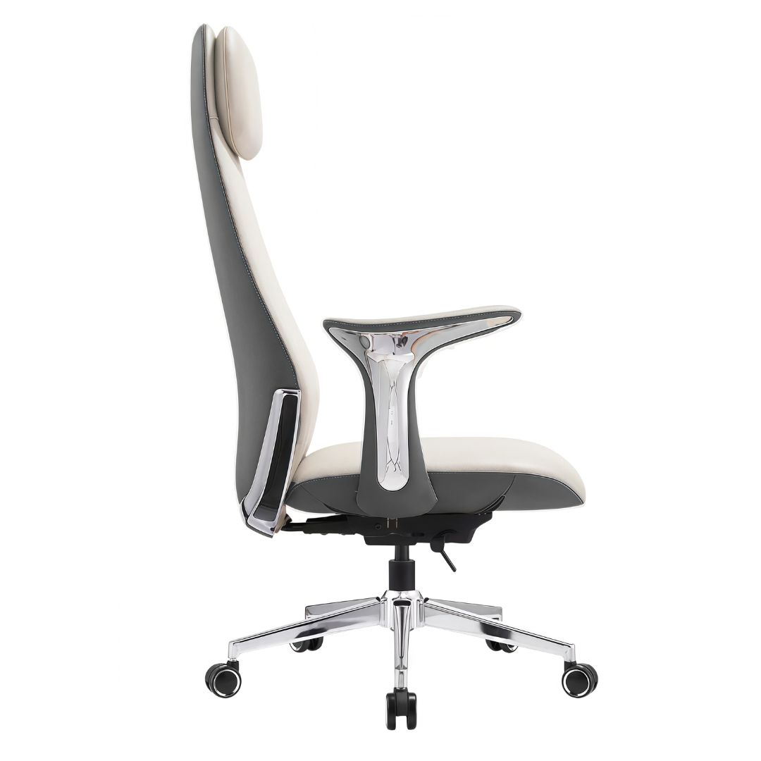 Director armchair 5