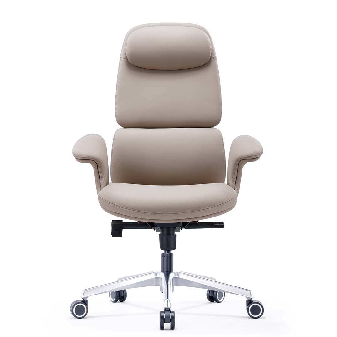 Director armchair 4